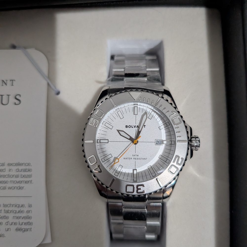 Bolvaint Silver Watch